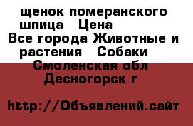 щенок померанского шпица › Цена ­ 45 000 - Все города Животные и растения » Собаки   . Смоленская обл.,Десногорск г.